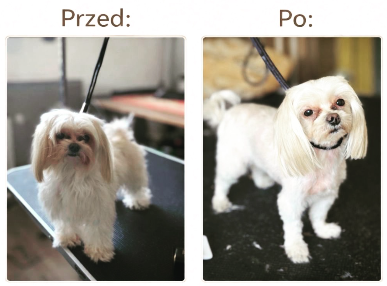 Realizacja groomerska 1