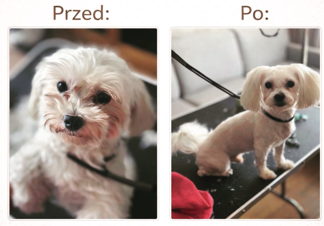 Realizacja groomerska 2