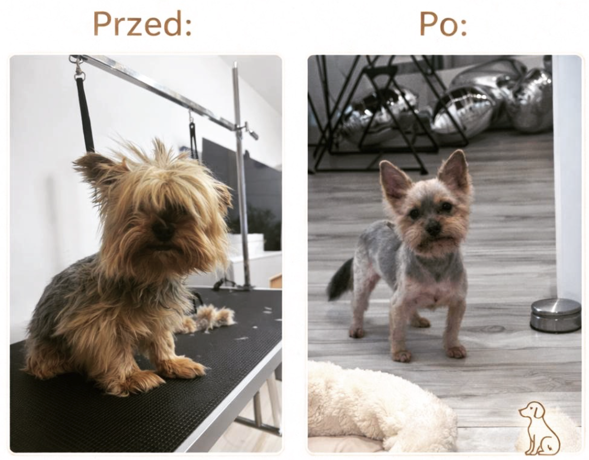 Realizacja groomerska 4