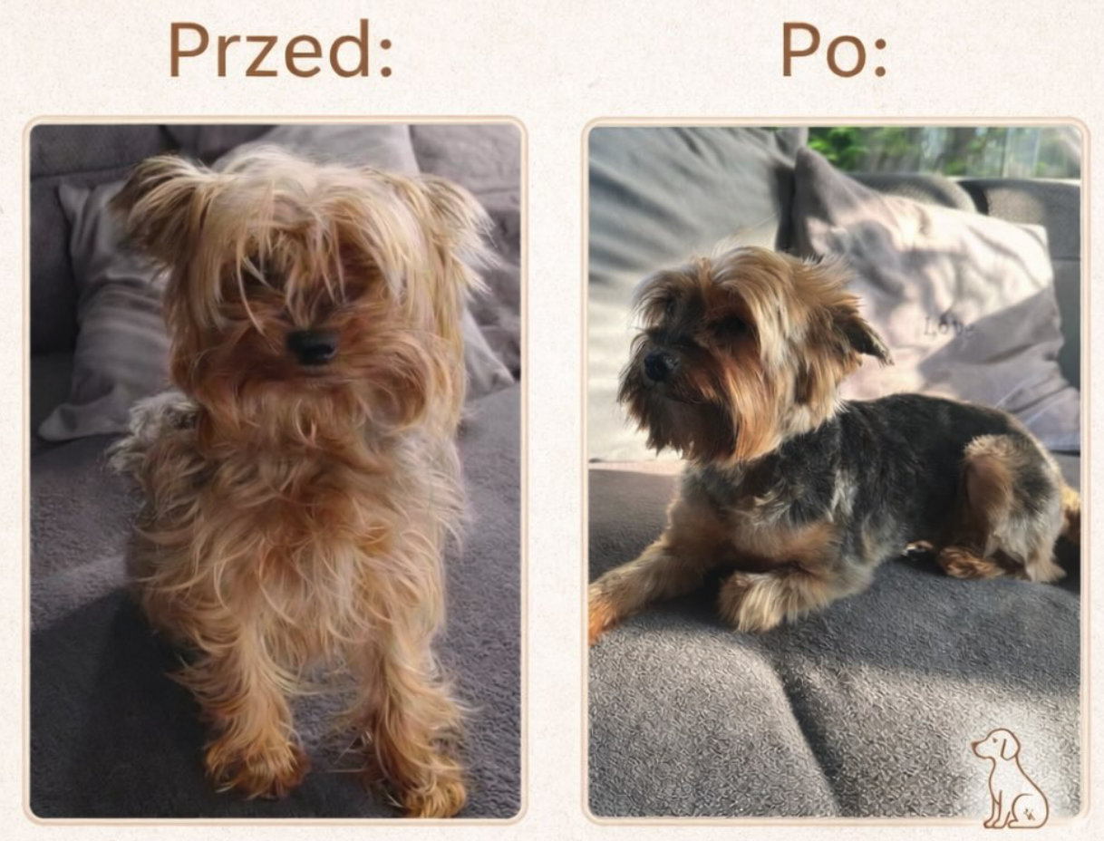 Realizacja groomerska 6